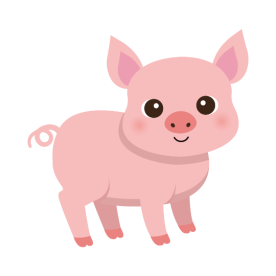 pig